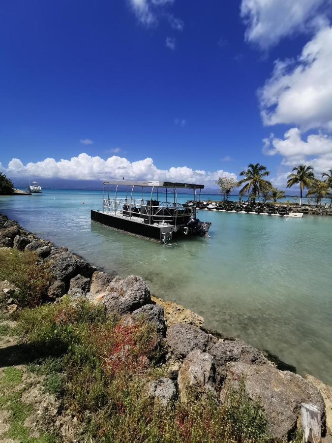 La Creole T3 Lumineux A 1Mn De La Plage Le Gosier  Kültér fotó